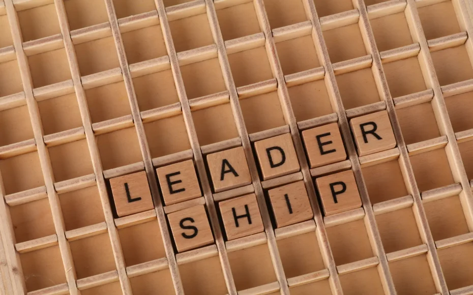 Competențe de leadership: ce diferă între mediul public și cel privat