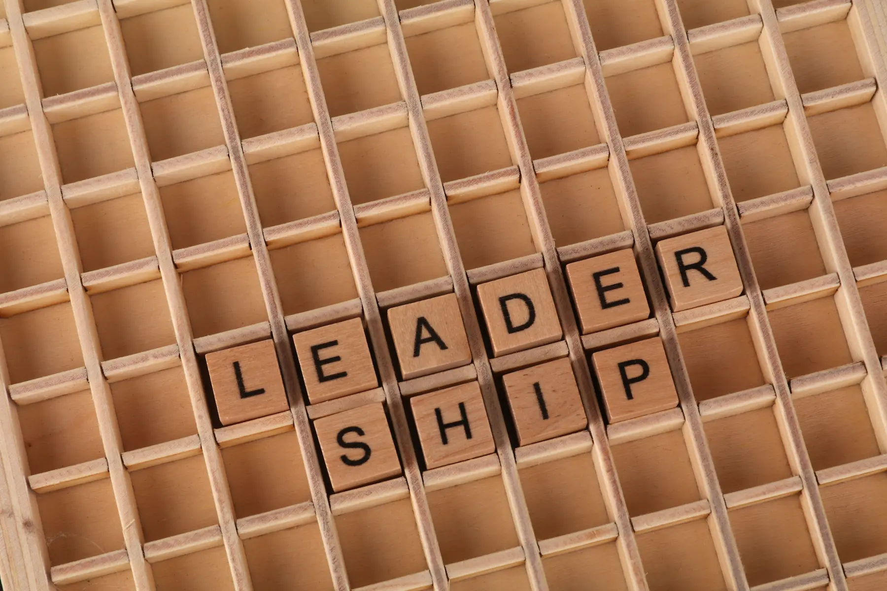 Competențe de leaderhip