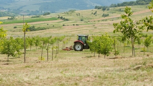 inginer pomicultor hoticultor tirgu mures psihoselect job loc de munca